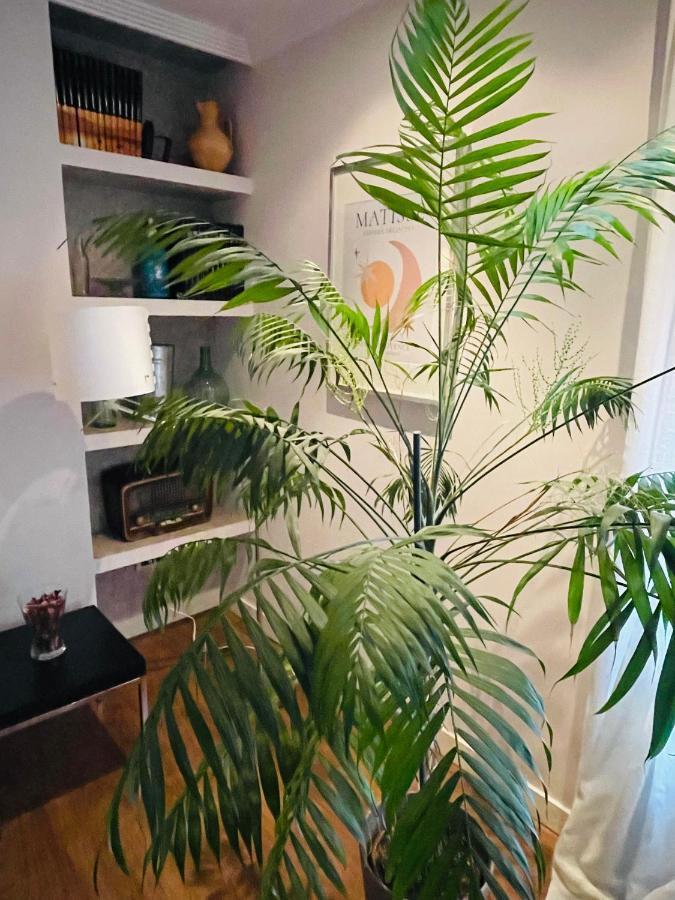 Casa Lola Apartment เลออน ภายนอก รูปภาพ